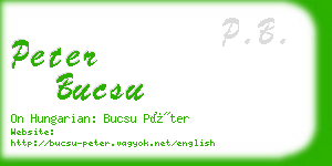 peter bucsu business card